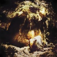 Wolves in the Throne Room - Celestial Lineage; levynkansi